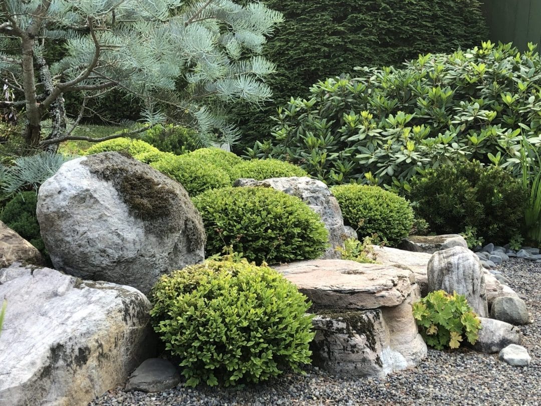 Okarikomi by Nicole LaPlante - North American Japanese Garden